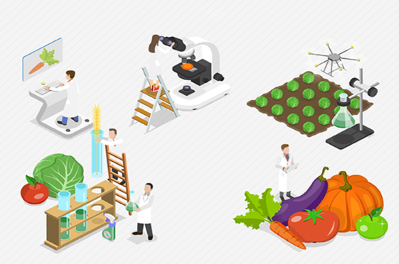 Navigate Food Safety